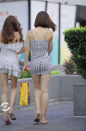小科科app软件旧版本