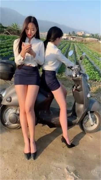 巨人通行证账号官网