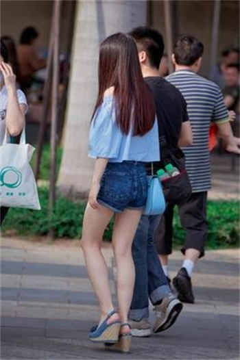 苏家长女txt免费下载