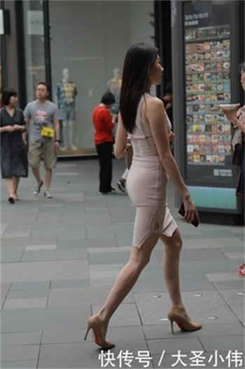小萌包被七个大佬抢着宠