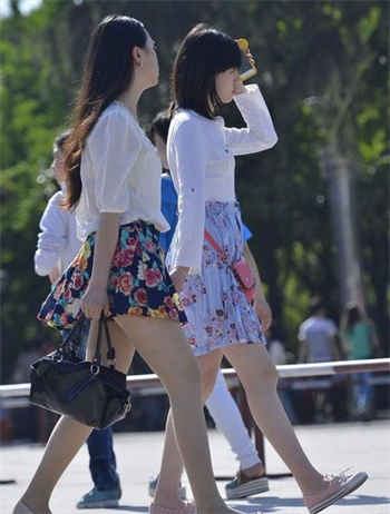 花颜1995 4套 下载