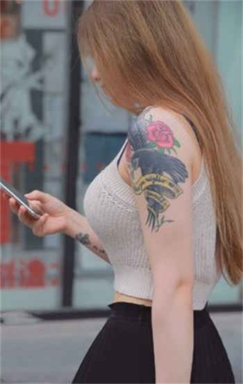 陈玉芬和大狼狗小说