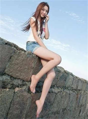 ipad菊花软件