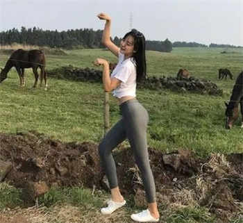 大象传媒大象传媒