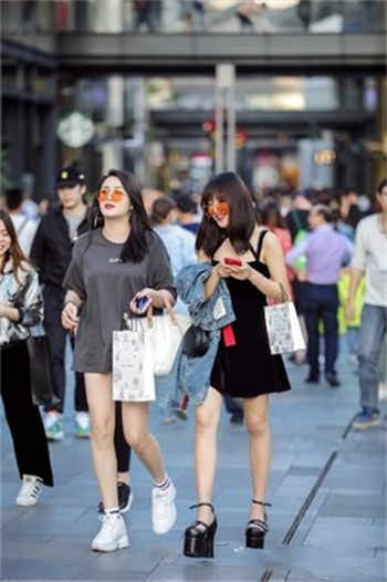 烧书阁网页阅读模式小说